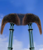 AlonsoEyebrowSculpture