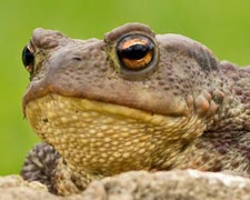 Jean Todt, yesterday