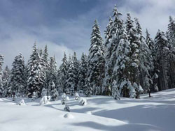 Some winter, yesterday